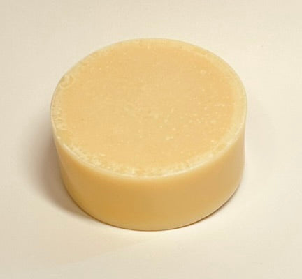 Botanical Tallow Shampoo Bar - Dinosaurs